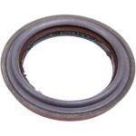 28754 SKF - Chicago Rawhide Seal