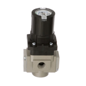ARG20-N02G1-Z Regulator